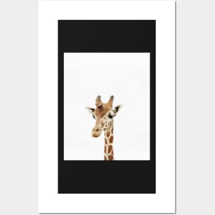 Baby Giraffe, Nursery, Animal, Kids room, Modern art, Wall decor Posters and Art